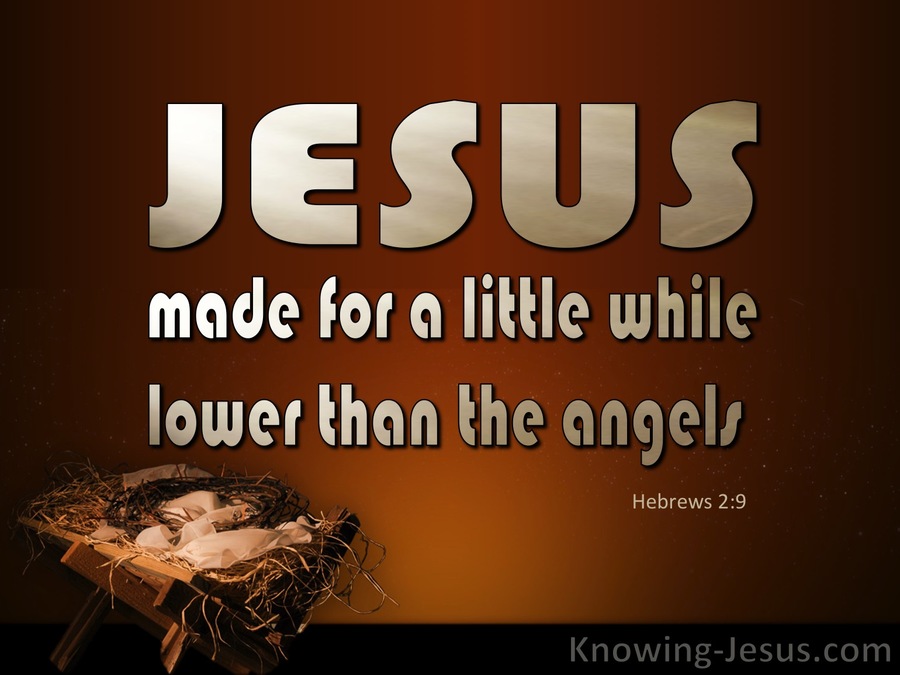 Hebrews 2:9 Jesus Made A Little Lower Than Angels (brown)
